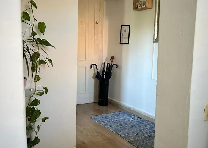 Bacvice Experience شقة *